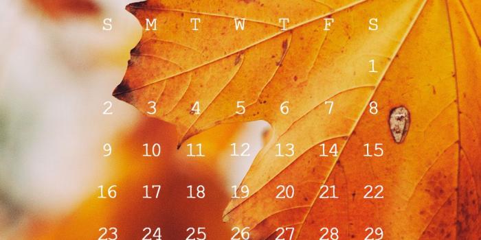 1080x1920 Fall Leaves Photo October Calendar You Can Download - October