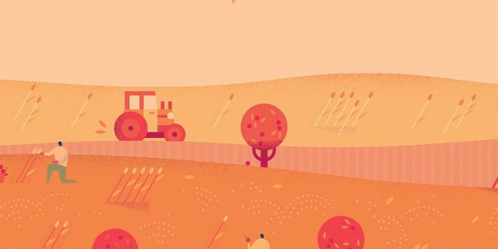 1242x2208 iPhonepapers.com | iPhone 8 wallpaper | ag97-google-lollipop-october