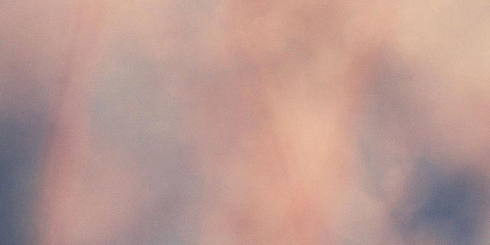 1242x2208 iPhone7papers - mb99-wallpaper-about-october-2-flower