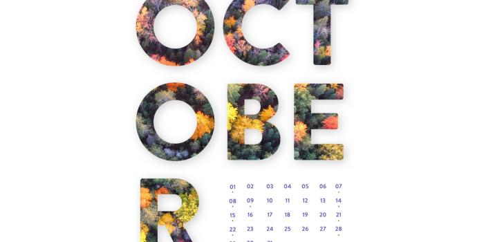 2048x2048 October 2017 Desktop Calendar Wallpaper | Paper Leaf
