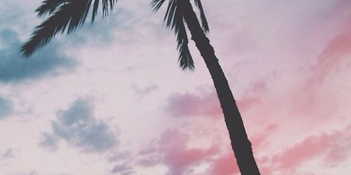 736x1309 45+ Girly Sunset Wallpapers - Download at WallpaperBro