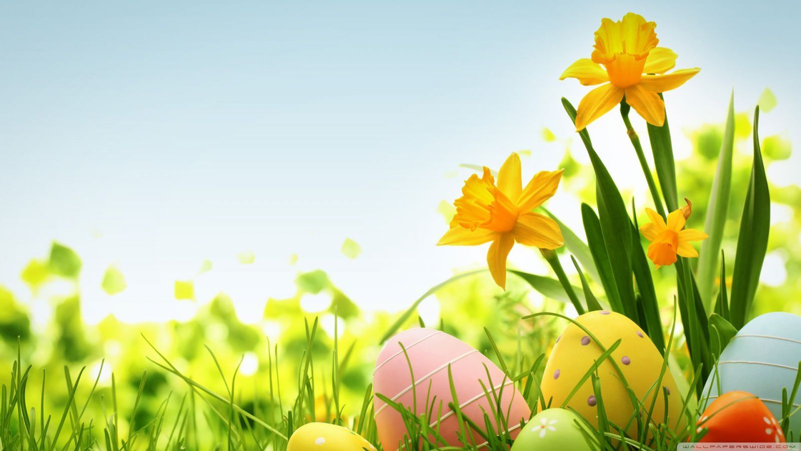 1600x900 20+ Happy Easter Wallpapers, Backgrounds, Images | FreeCreatives