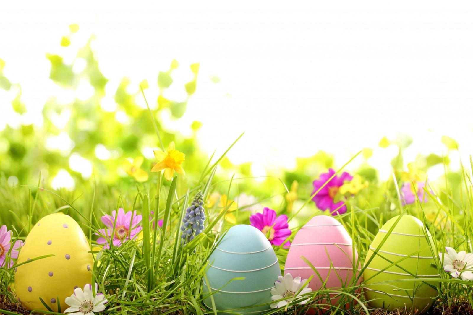 2048x1365 Happy Easter Wallpapers Hd - Easter Opening Hours 2019 (#930746