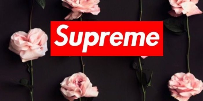 736x1308 Wallpaper Supreme. Papel de Parede. Adidas. Nike. - wallpapers