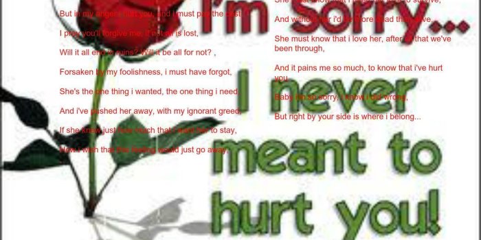 1300x960 Sorry Wallpapers Love