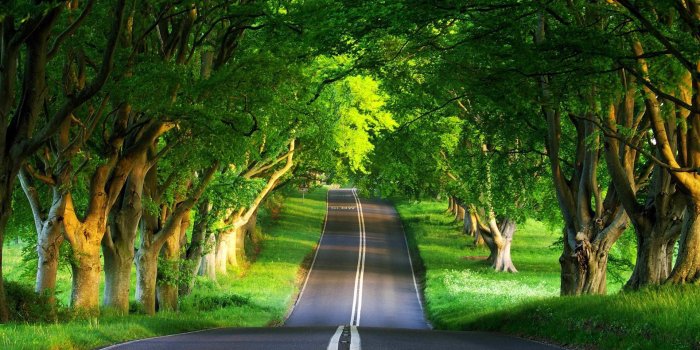 1920x1080 Best Natural Pictures of the World | places hd nature wallpapers