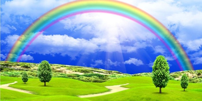 1200x808 Cool Nature Photos, Nature Wallpaper For Samsung, Green, Plants