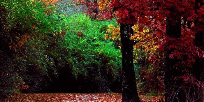 1600x1200 Best Nature Wallpapers