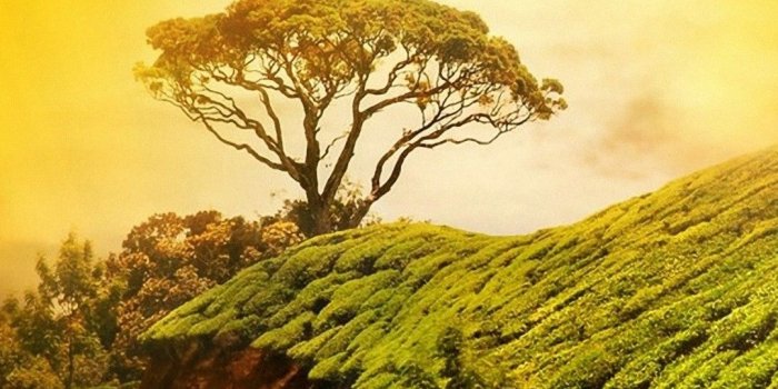 1080x1920 Best Nature Wallpapers iPhone | 2019 3D iPhone Wallpaper