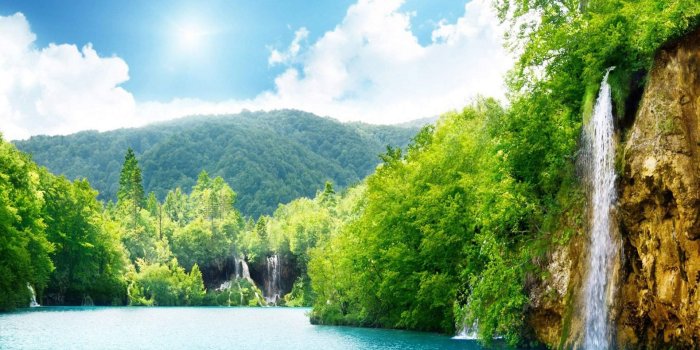 1920x1280 Beautiful Greenery of Real Nature Scene Wallpaper Free Download