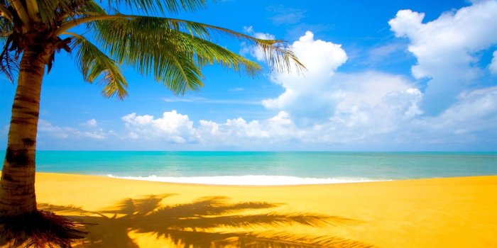 1920x1080 Best Nature Wallpaper And Pictures For Background