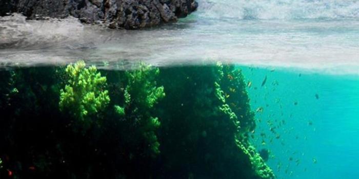 1080x1920 Best Nature Wallpaper iPhone | 2019 3D iPhone Wallpaper