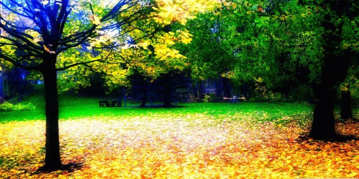 1600x1000 Best High Definition Natural Wallpaper Free Download - HD Wallpapers