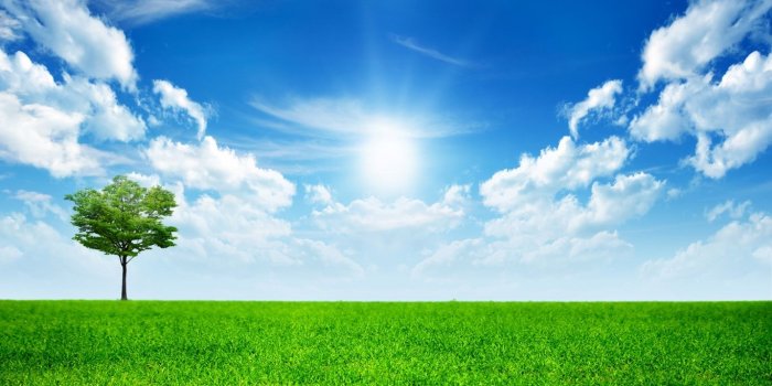 1366x768 Hd Nature Wallpaper (29+ images) on Genchi.info