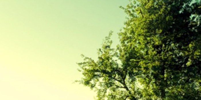 1080x1920 Nature Wallpapers For Android (50+ images) on Genchi.info