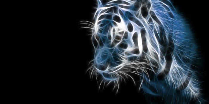 1920x1200 Cool Animal Wallpapers Free : Animal Wallpaper Tagzeo Blue Wolf