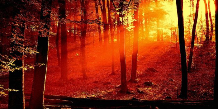 2560x1600 Best Romantic Nature Wallpapers 8 : Wallpapers13.com