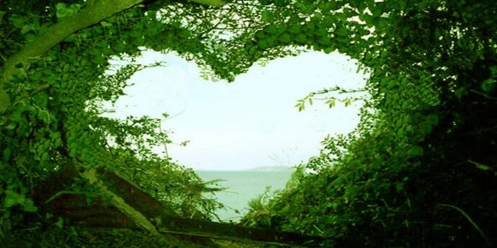 2560x1440 New Nature Wallpapers HD (71+ background pictures)
