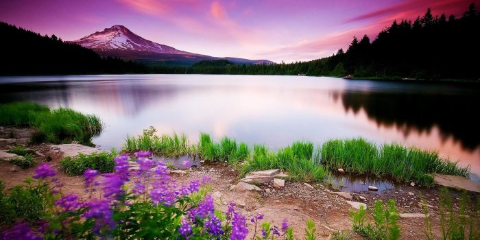 1920x1080 Nature Wallpaper Backgrounds ·① WallpaperTag