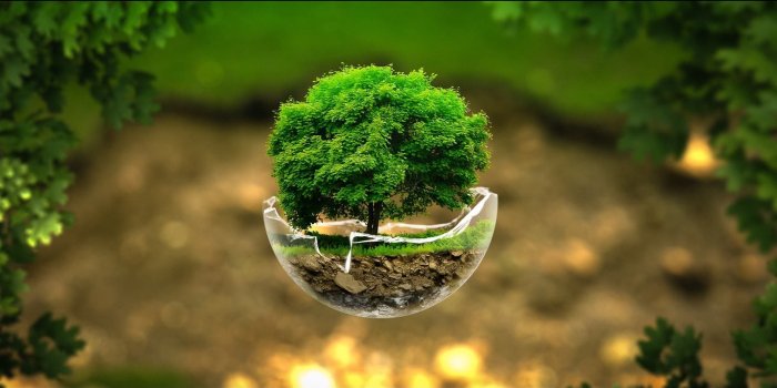 1920x1080 65+ Best Nature Desktop Wallpapers - Download at WallpaperBro
