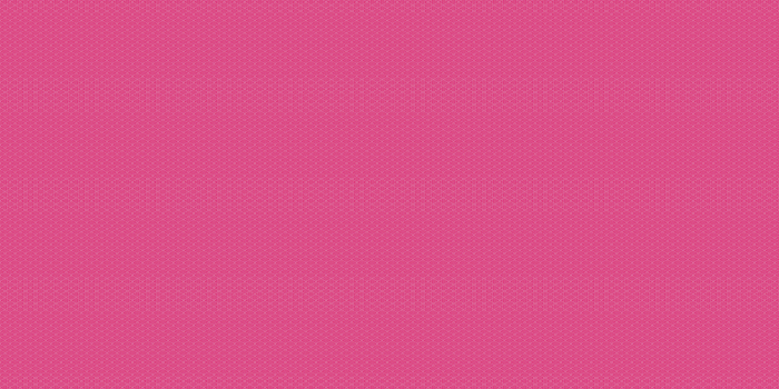 2560x1440 Pink Vans Waffle Sole Desktop Wallpaper