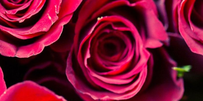 736x1308 12 Super Cute Valentine's Day iPhone Wallpapers | Preppy Wallpapers