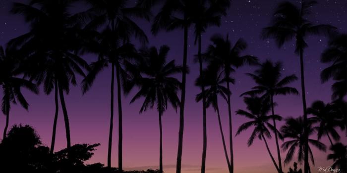 1920x1080 Purple Drank Wallpapers – LEAN APK Direct Download – Free .