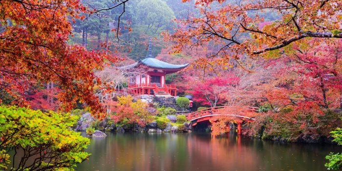 3840x2160 Wallpaper Japan, Kyoto, park, pagoda, colorful leaves, trees, pond