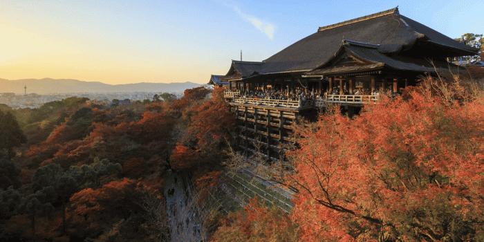 1920x1080 4K Day to Night timelapse of Kiyomizu dera temple in autumn season, Kyoto,  Japan Stock Video Footage - Storyblocks Video