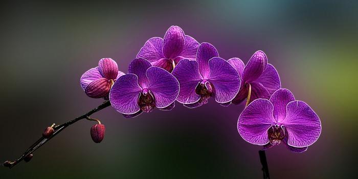 1920x1200 Lean Wallpaper (83+ images in Collection) Page 1