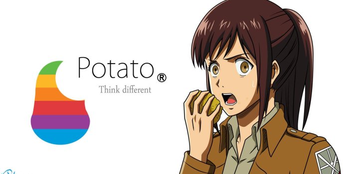 1600x900 Image - 619648] | Potato Girl | Know Your Meme