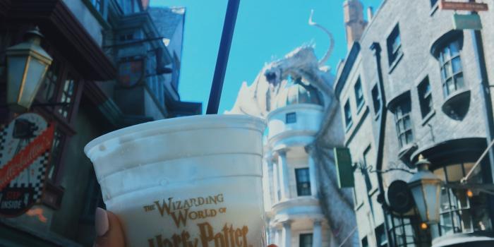 3024x4032 wizarding world of harry potter! | me:) | Harry potter world, Harry