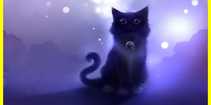 1978x1138 Galaxy Cat Wallpapers - Top Free Galaxy Cat Backgrounds