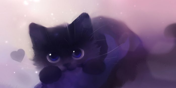 1440x900 Kitty Loves Fish ❤ 4K HD Desktop Wallpaper for 4K Ultra HD TV