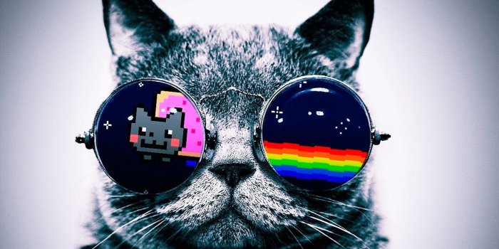 1920x1200 Galaxy Cat Wallpapers - Top Free Galaxy Cat Backgrounds