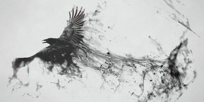 3840x2160 Raven Bird Art, HD Artist, 4k Wallpapers, Images, Backgrounds