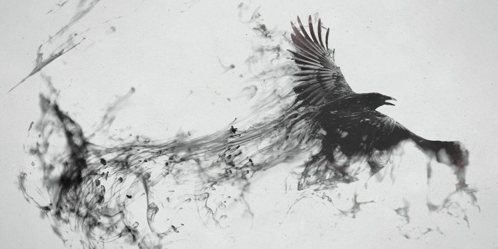 3840x2160 Raven Wallpapers - Top Free Raven Backgrounds - WallpaperAccess
