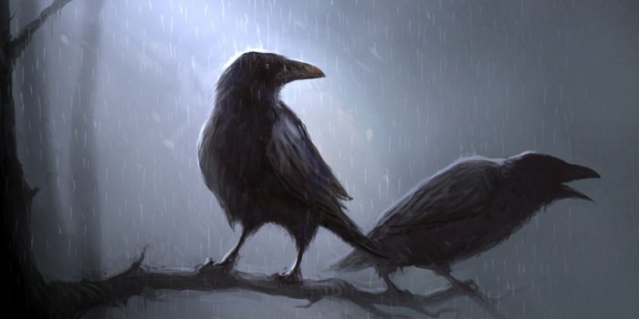 1920x1080 Raven Wallpapers - Top Free Raven Backgrounds - WallpaperAccess