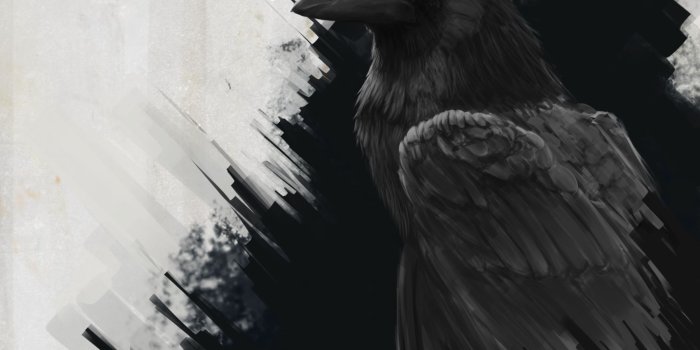 2500x3750 Download wallpaper 2500x3750 raven, bird, art, black, lines hd