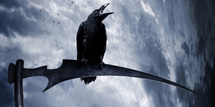 2560x1600 2825208 raven animals birds scythe fantasy art wallpaper and