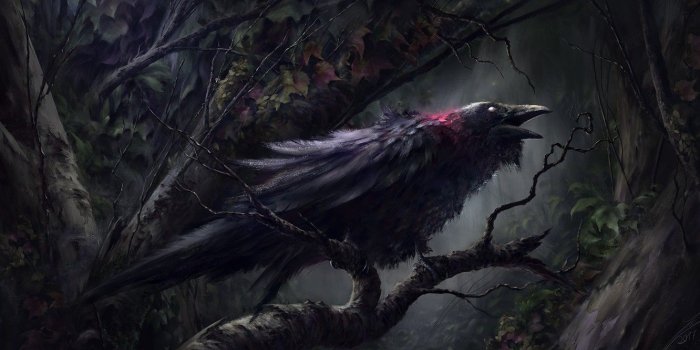 1332x850 Dark Raven Wallpapers | bryanbakerlouderthan