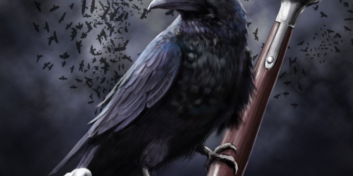 2390x1705 ravens | Raven, Raven Tattoo and Raven Art | new board