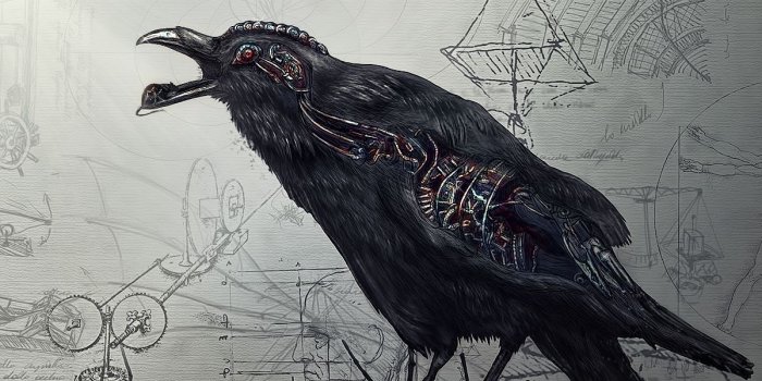 1200x798 Raven Wallpapers - Top Free Raven Backgrounds - WallpaperAccess