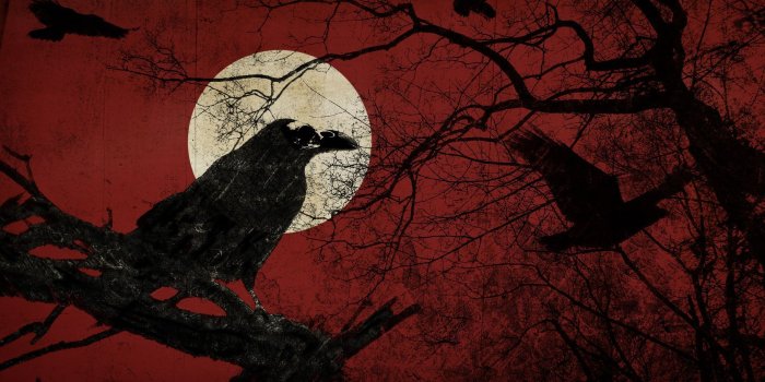1920x1200 Raven during a full moon red black wallpaper | Wallpaper Collection
