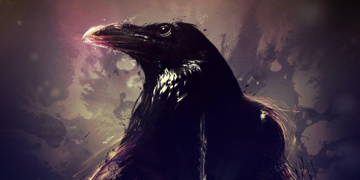 1920x1080 raven, Artwork, Animals, Birds Wallpapers HD / Desktop and Mobile