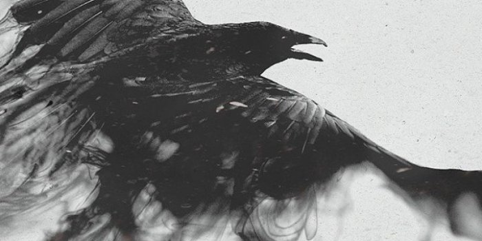 720x1280 720x1280 Wallpaper raven, bird, flying, smoke, black white | Tattoo