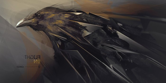 2560x1440 2929353 animals desktopography birds raven text feathers wallpaper