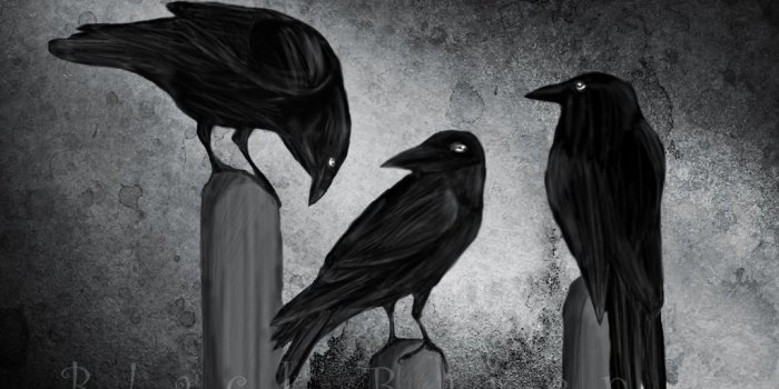 1024x768 Black Raven wallpaper 1024x768 | Ravens & Crows -- Black & White 003