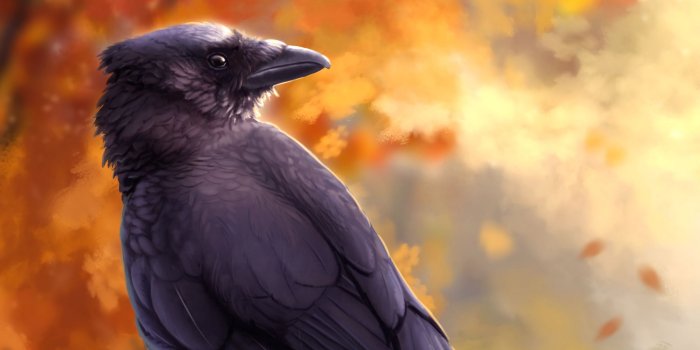 2560x1600 Download wallpaper 2560x1600 raven, bird, art, black, autumn