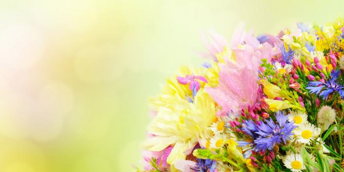 3840x2160 4K Spring Bouquet Wallpapers High Quality | Download Free